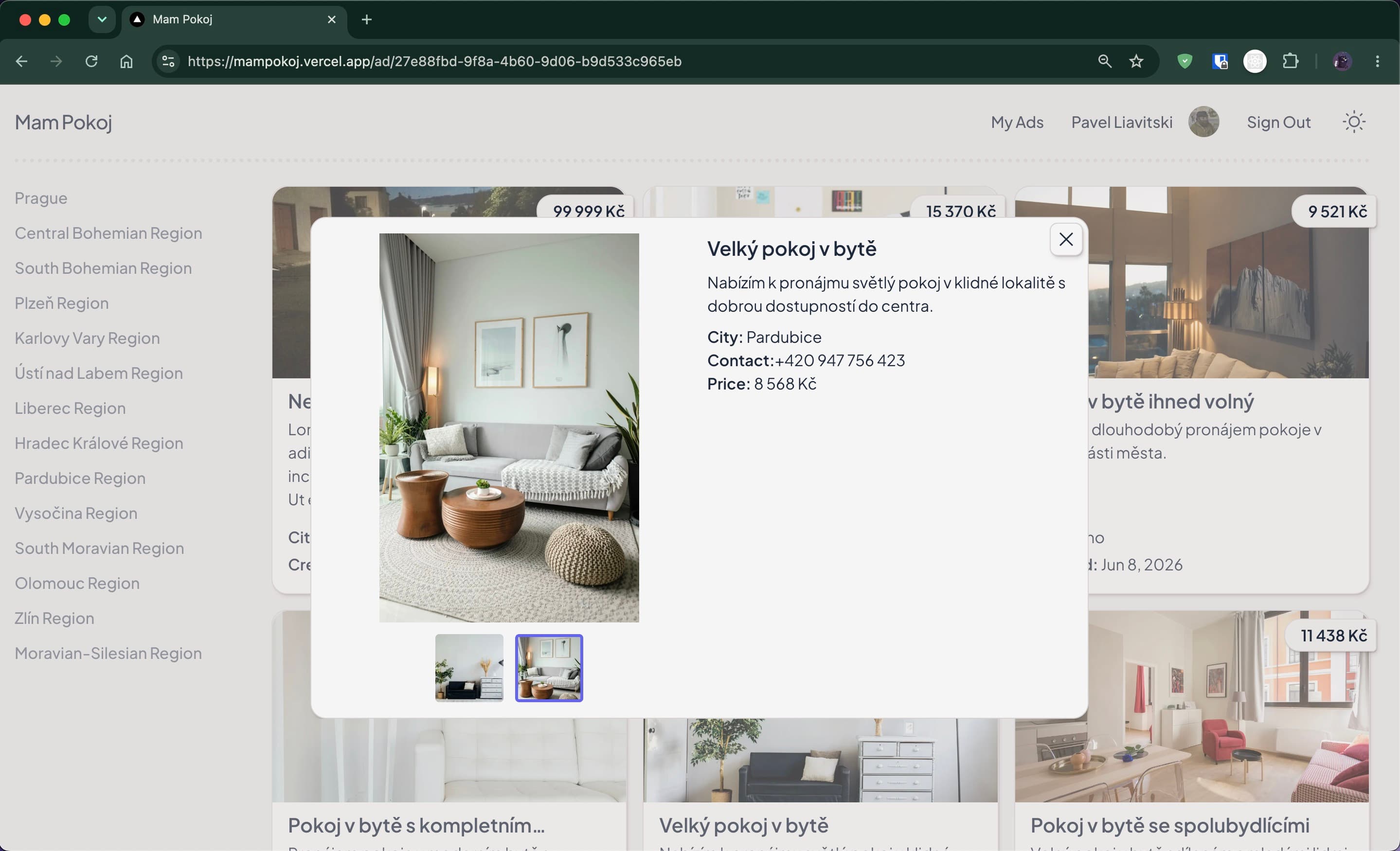 Portfolio project preview modal
